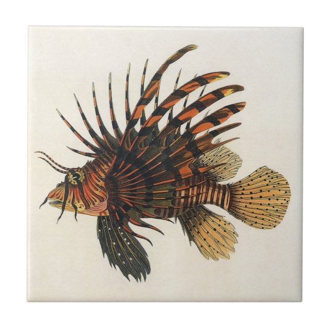 Vintage Lionfish Fish, Marine Ocean Life Animal Tile (Front)