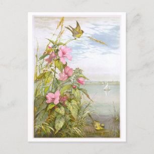 Vintage Lithograph Marsh Mallow with Bird Postcard