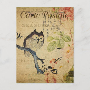 Vintage Little Owl Pink Roses French  Postcard
