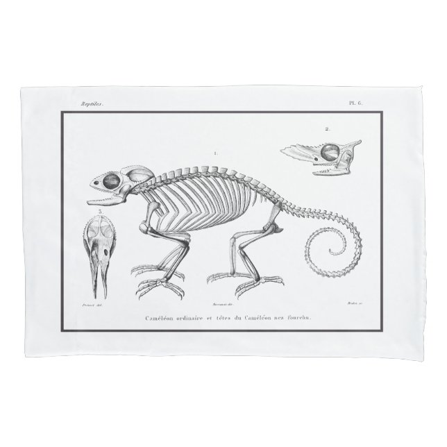 Vintage lizard skeleton pillowcase (Front)