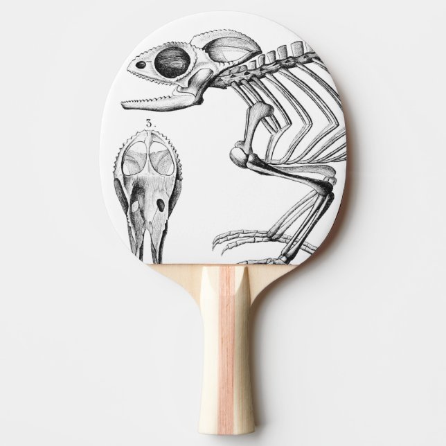 Vintage lizard skeleton ping pong paddle (Front)