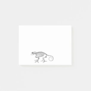 Vintage lizard skeleton post-it notes