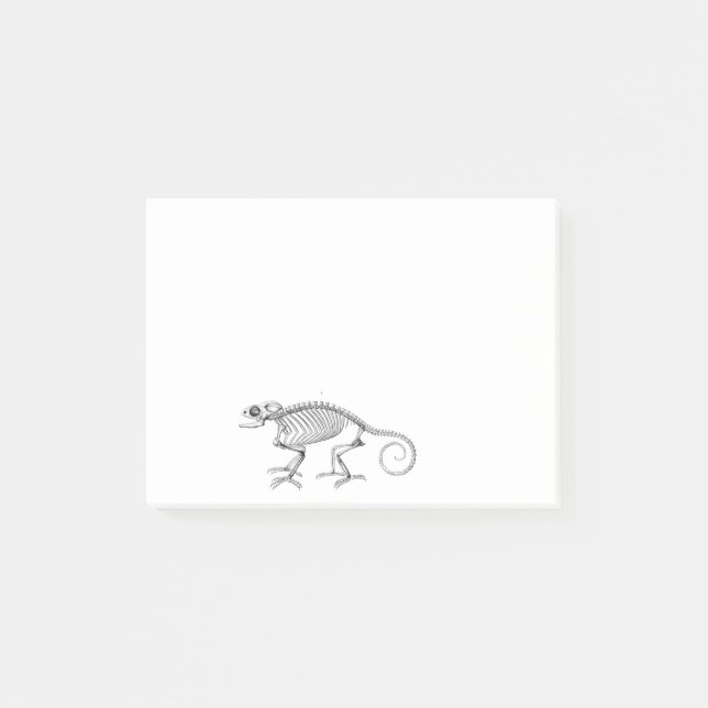 Vintage lizard skeleton post-it notes (Front)