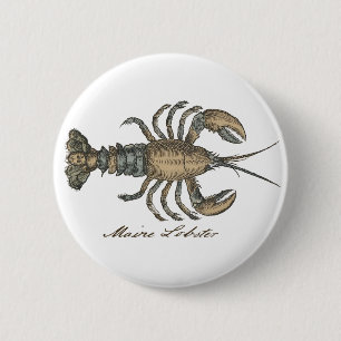 Vintage Lobster Illustration: Coastal Damask 2 Inch Round Button