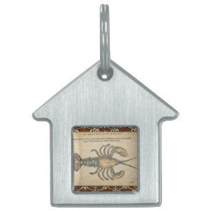 Vintage Lobster Illustration: Coastal Damask Pet ID Tag