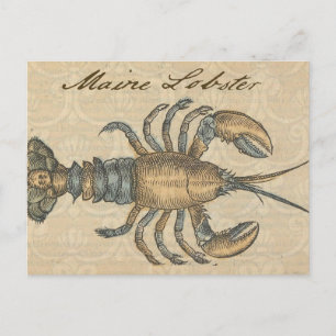 Vintage Lobster Illustration: Coastal Damask Postcard