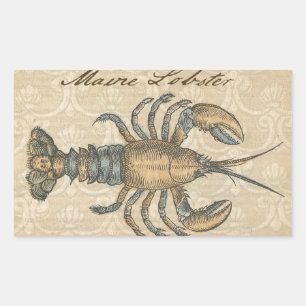 Vintage Lobster Illustration: Coastal Damask Sticker