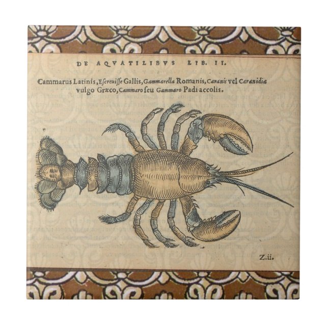 Vintage Lobster Illustration: Coastal Damask  Tile (Front)