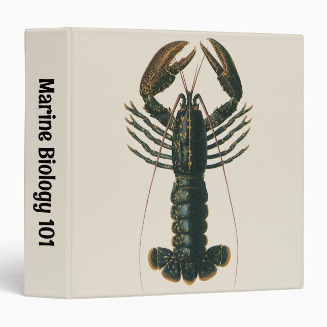Vintage Lobster, Marine Ocean Life Crustacean Binder (Front/Spine)