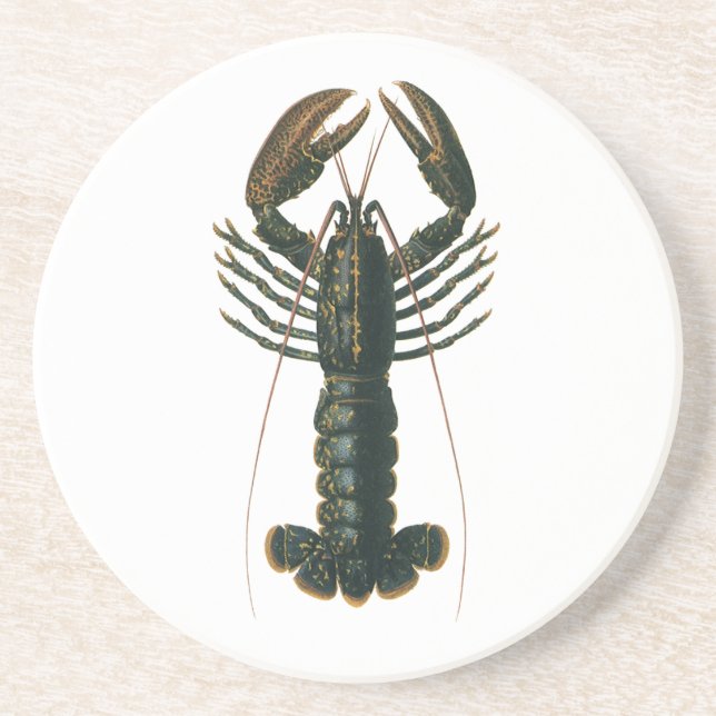Vintage Lobster, Marine Ocean Life Crustacean Coaster (Front)