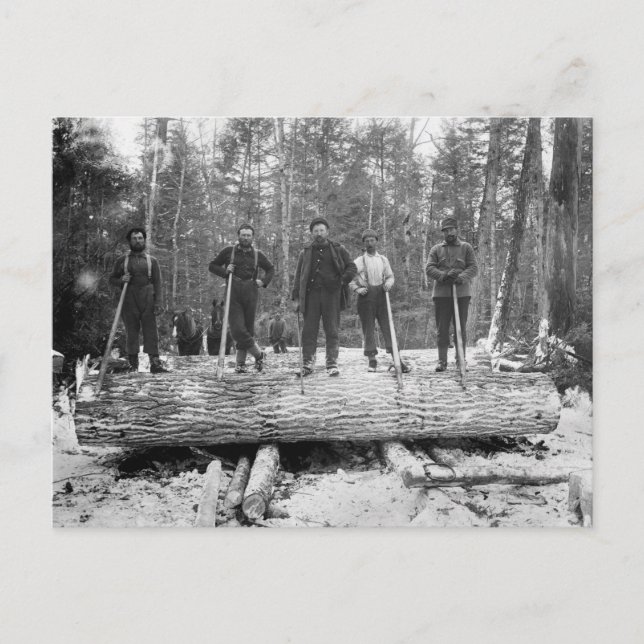 Vintage Loggers Postcard (Front)