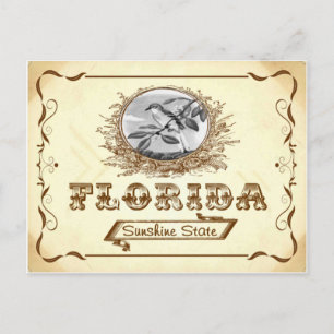 Vintage Look 1910 Florida Old Postcard