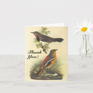 Vintage Look Birds, "Thank You!" Card
