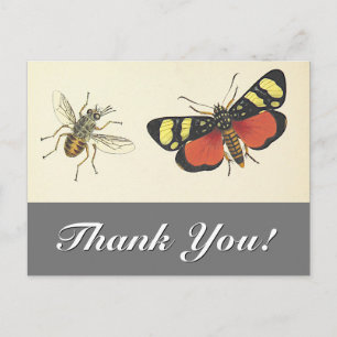 Vintage Look Insectes "Merci !" Carte postale