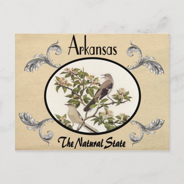 Vintage Look Old Postcard Arkansas State (Front)