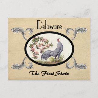 Vintage Look Old Postcard Delaware State