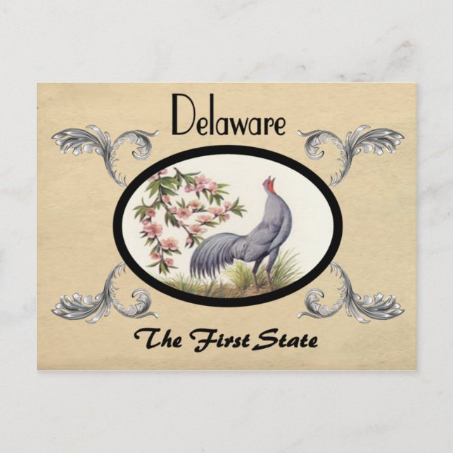 Vintage Look Old Postcard Delaware State (Front)