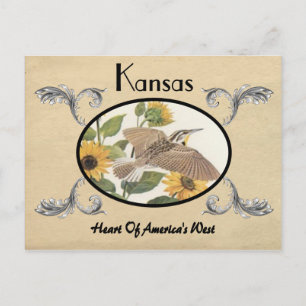 Vintage Look Old Postcard Kansas State