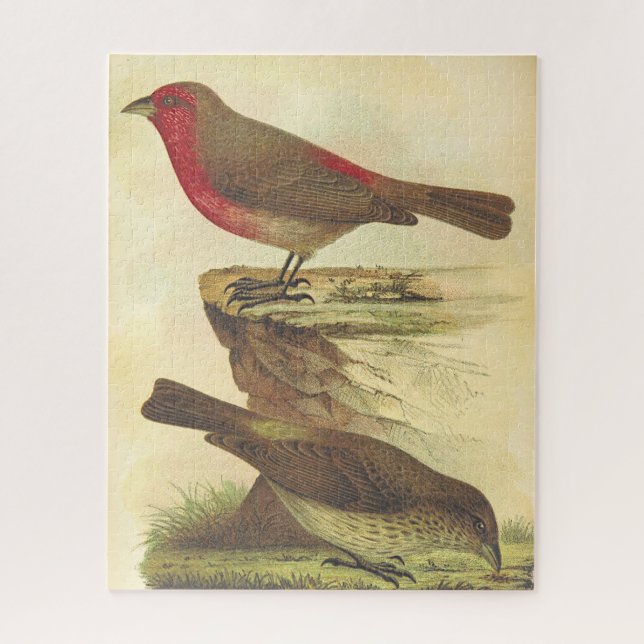 Vintage Look, Two Standing Birds Puzzle (Vertical)