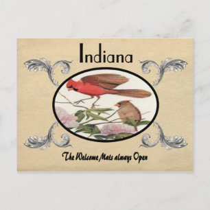 Vintage Look Vieux Carte postale Indiana State