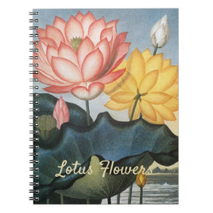 Vintage Lotus Flowers, The Sacred Egyptian Bean Notebook