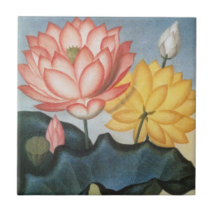 Vintage Lotus Flowers, The Sacred Egyptian Bean Tile