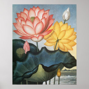 Vintage Lotus Flowers With Leaves in a Pond Poster