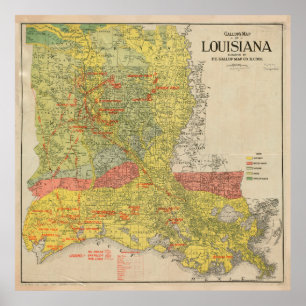 Vintage Louisiana Oil & Gas Fields Map (1920) Poster