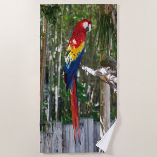 Vintage Macaw Parrot Island Beach Towel