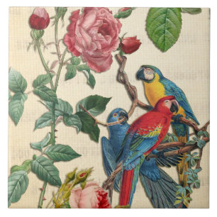 Vintage Macaws And Roses Tile