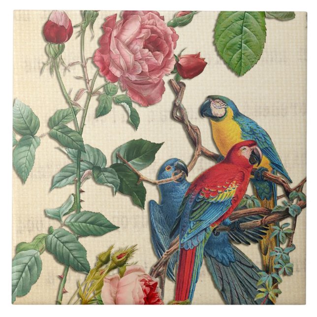 Vintage Macaws And Roses Tile (Front)