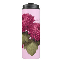 Vintage Magenta Chrysanthemum Bloom