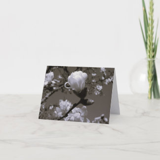 Vintage Magnolia Blossom Note Cards – Cottage Gard