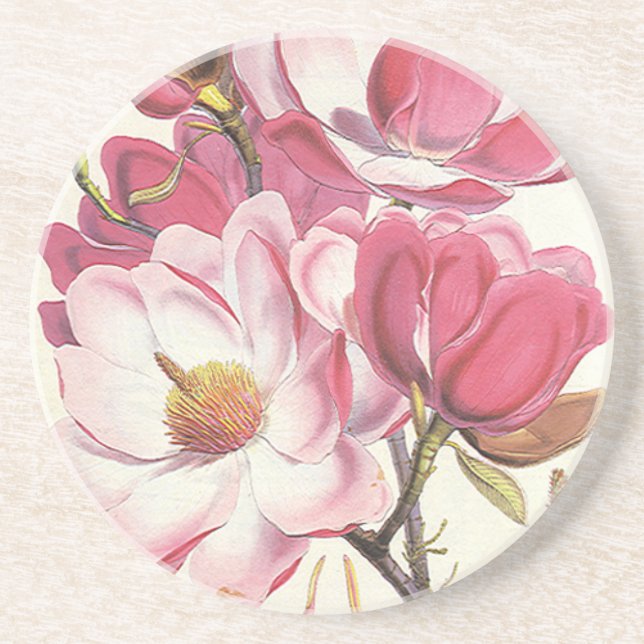 Vintage Magnolia Tree Blossom, Pink Garden Flowers Coaster (Front)
