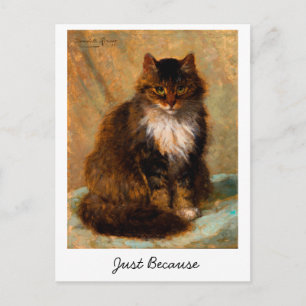 Vintage Maine Coon Cat Art Just Because            Postcard