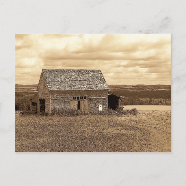 Vintage Maine Postcard (Front)