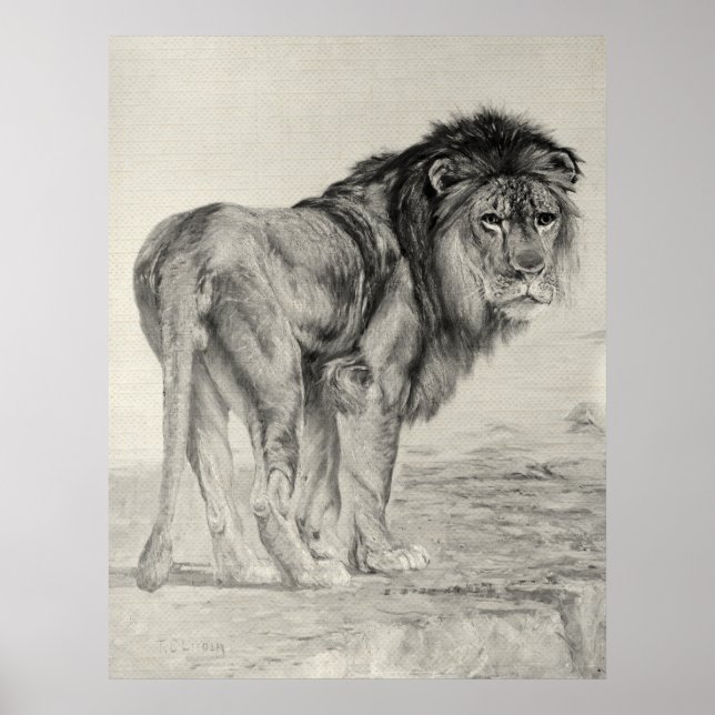 Vintage Majestic Lion Poster (Front)