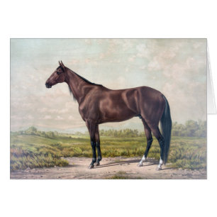 Vintage - Majestic Race Horse,