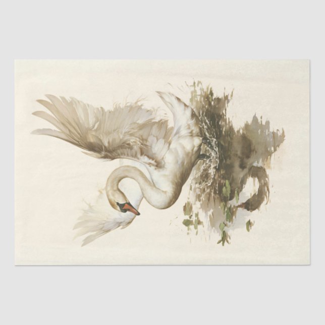 Vintage Majestic Swan in Motion Tissue Paper (Front)
