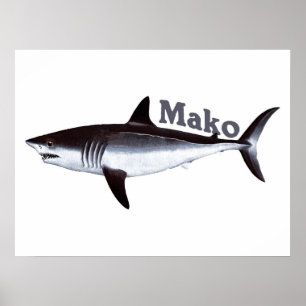 Vintage Mako Shark Poster