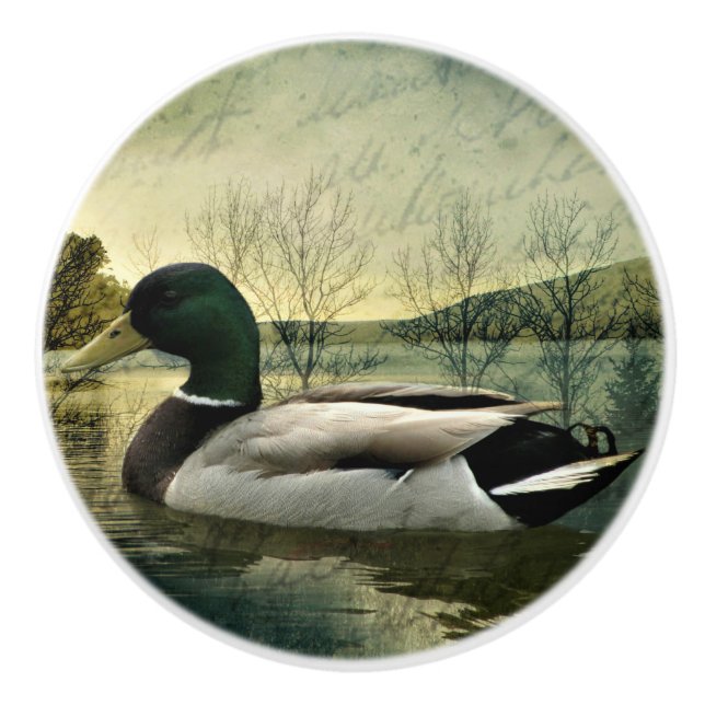 Vintage Mallard Duck Weathered Postcard Ceramic Knob (Front)