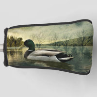 Vintage Mallard Duck Weathered Postcard