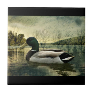 Vintage Mallard Duck Weathered Postcard Tile