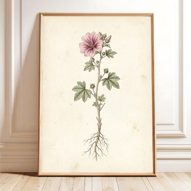 Vintage Mallow Botanical Gallery Wall Art Print (Creator Uploaded)
