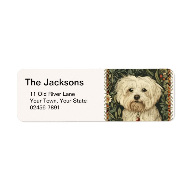 Vintage Maltese or Bichon puppy Dog (Front)