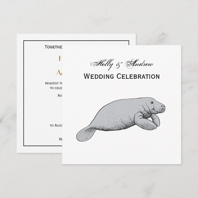 Vintage Manatee Drawing Invitation (Front/Back)