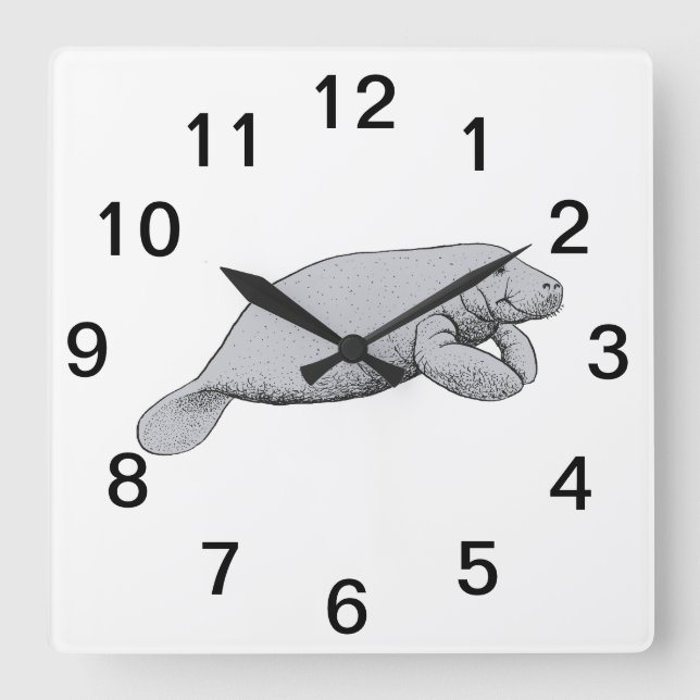 Vintage Manatee Drawing Square Wall Clock (Front)