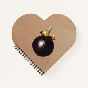Vintage Mangosteen Illustration Notebook