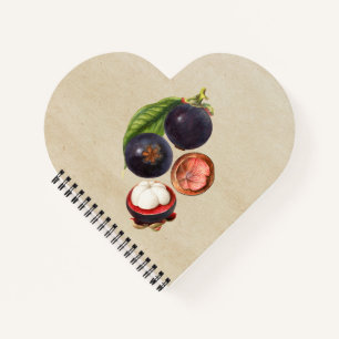 Vintage Mangosteens Notebook