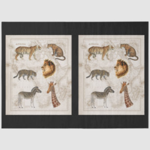 Vintage Map Lion Leopard Giraffe Africa Decoupage Tissue Paper